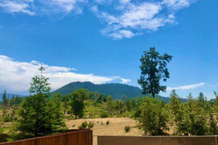 Scenic view of a mountain with lush greenery and tall trees, showcasing the breathtaking landscapes that are among the things to do in Yosemite National Park