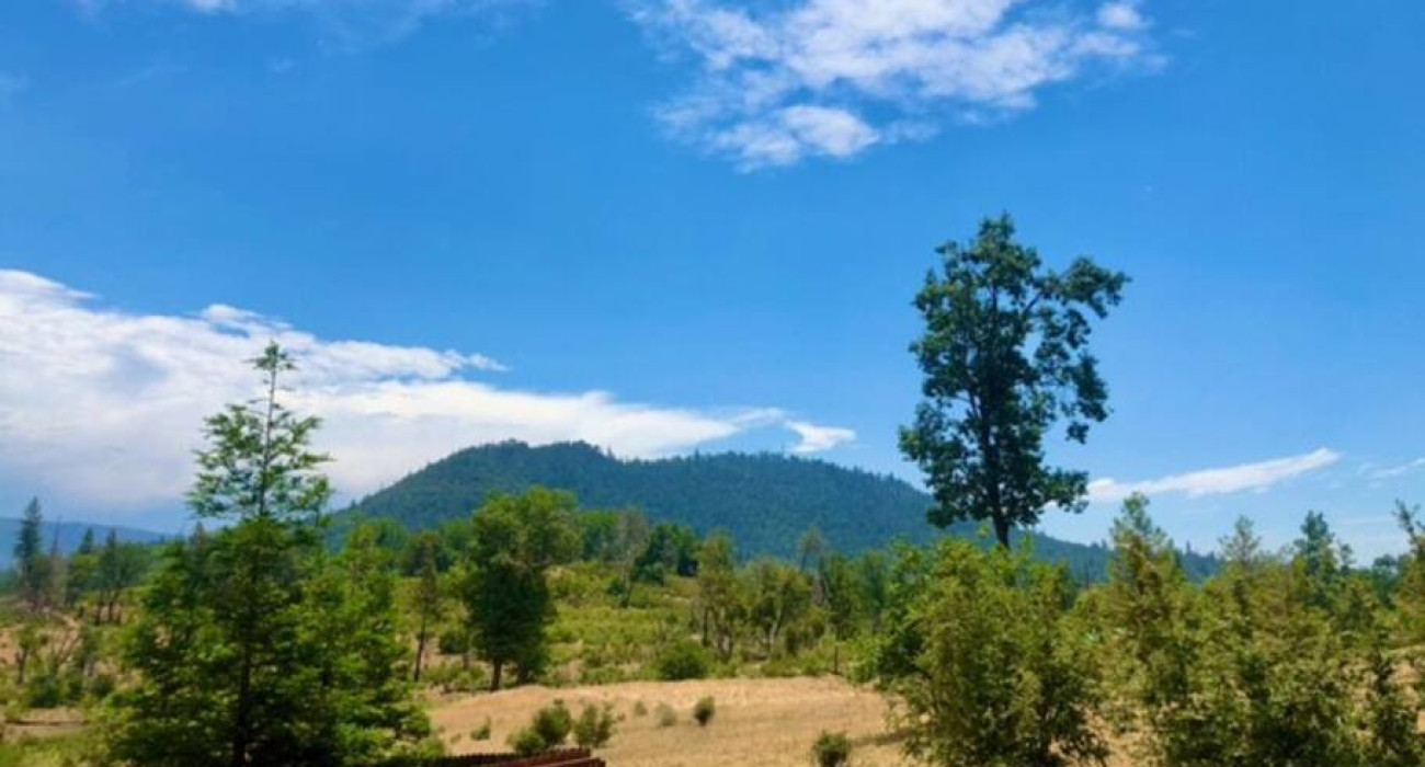 0f64ff8f-5b7f-49a3-b789-6abd100437f2.jpg Scenic view of a mountain with lush greenery and tall trees, showcasing the breathtaking landscapes that are among the things to do in Yosemite National Park