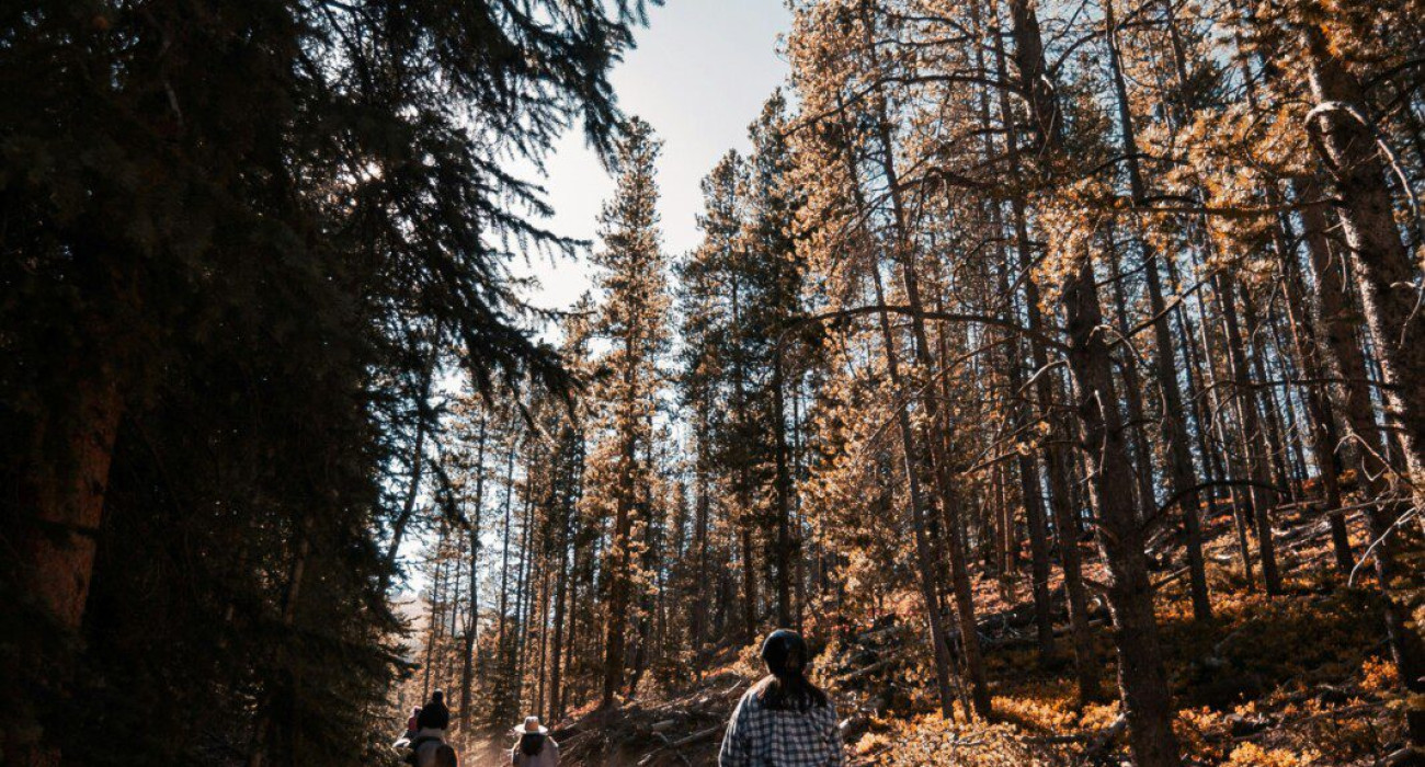A group of people horseback riding through scenic trails—one of the exciting things to do in Coarsegold
