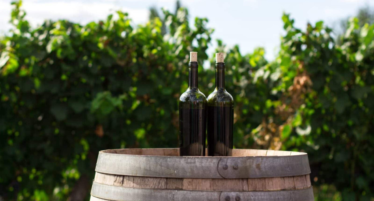 Madera wine trail